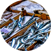 boquerons