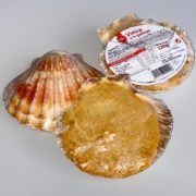 vieira gallega rellena farcida
